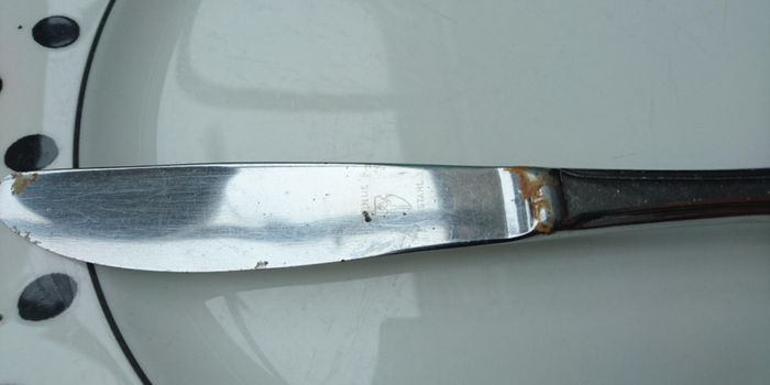 I tuoi coltelli hanno questo aspetto nonostante la lavastoviglie? Ecco come combattere la ruggine. I tuoi coltelli hanno questo aspetto nonostante la lavastoviglie? Ecco come combattere la ruggine.