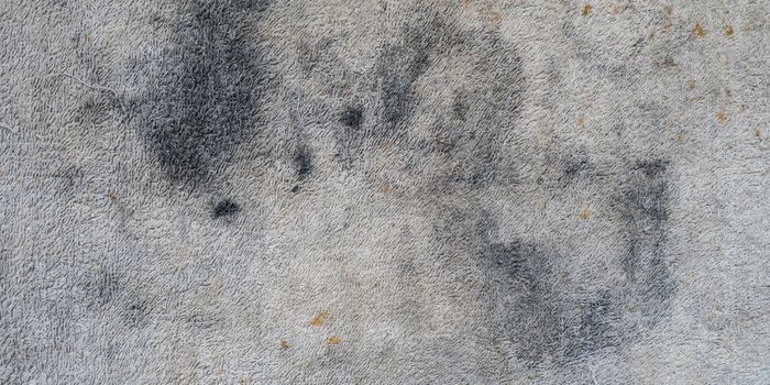 Wenn du nicht möchtest, dass dein Teppich so aussieht, musst du bei der Reinigung aufs Material und die Technik achten.