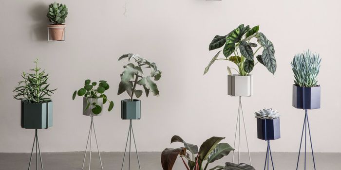Ein Hoch auf Zimmerpflanzen: Blumentöpfe von ferm LIVING. Ein Hoch auf Zimmerpflanzen: Blumentöpfe von ferm LIVING.