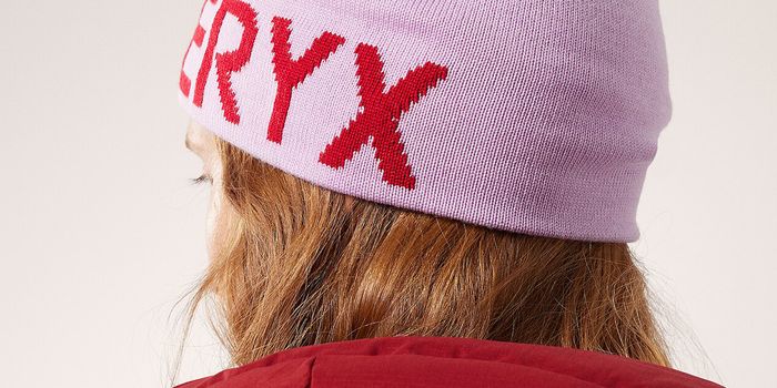 Arc’teryx beanie Arcteryx_WordHeadBeanie21.png@jpeg