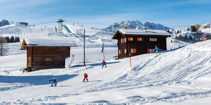 Copyright e-domizil AG/Chalet Wilhelmina (Objektnr. 793971)