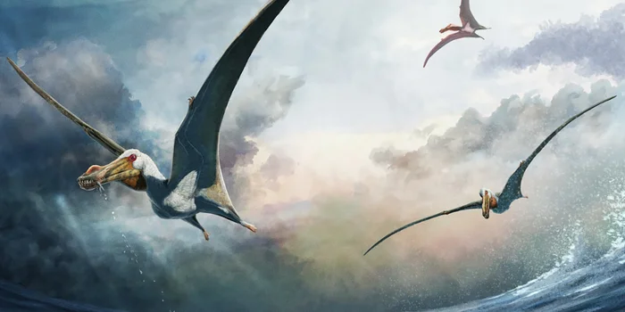 © Gabriel Ugueto, press image for: Pentland, A.H. et al.: Haliskia peterseni, a new anhanguerian pterosaur from the late Early Cretaceous of Australia. Scientific Reports 14, 2024, fig. 12 / CC BY 4.0 (detail) Illustration of Haliskia peterseni: The fossil is one of the best preserved pterosaurs in Australia. © Gabriel Ugueto, press image for: Pentland, A.H. et al.: Haliskia peterseni, a new anhanguerian pterosaur from the late Early Cretaceous of Australia. Scientific Reports 14, 2024, fig. 12 / CC BY 4.0 (detail) Illustration of Haliskia peterseni: The fossil is one of the best preserved pterosaurs in Australia.