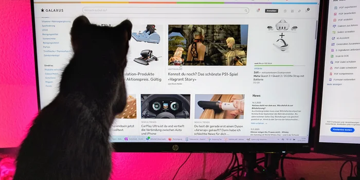 Debora Pape / Balu catches the mouse cursor on my screen Debora Pape / Balu catches the mouse cursor on my screen