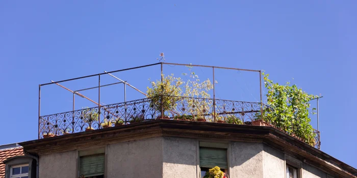 Die Ausgangslage: Deine entrümpelte Dachterrasse. Die Ausgangslage: Deine entrümpelte Dachterrasse.