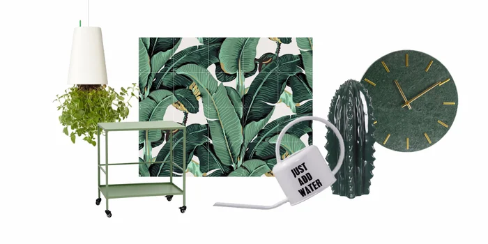 Niente pollice verde? Nessun problema! Anche le stampe delle piante e gli accessori verdi possono portare un po' di naturalezza nella vostra casa.