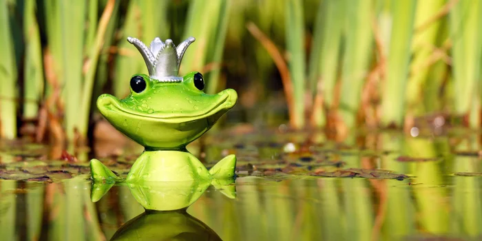 Conseils pour la planification et la construction d'un étang de jardin.