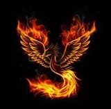 Team Phoenix